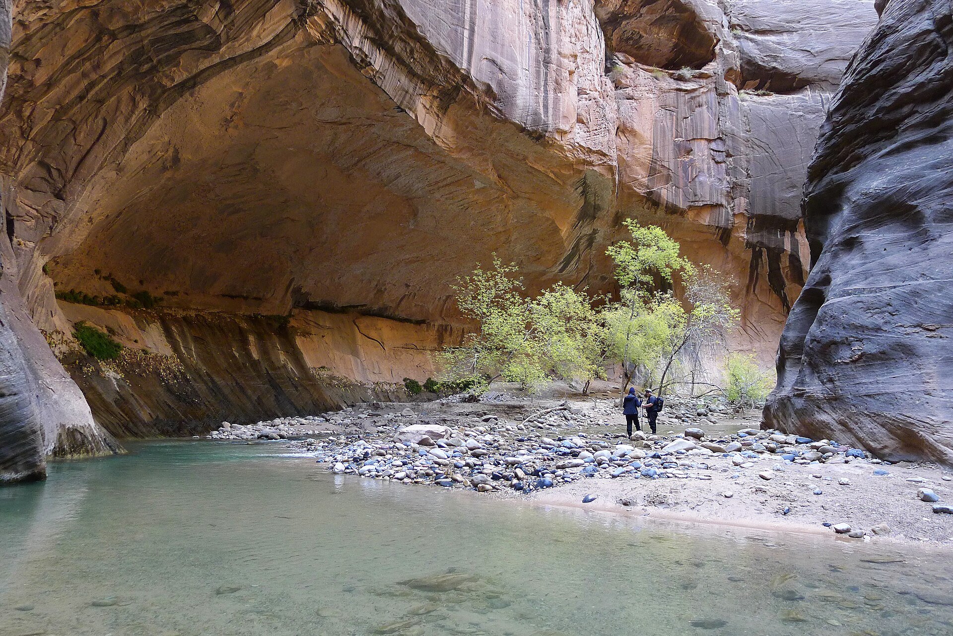 Dos caminantes cruzando el río Virgin entre las paredes curvas de los Narrows, la caminata acuática más famosa del Zion National Park